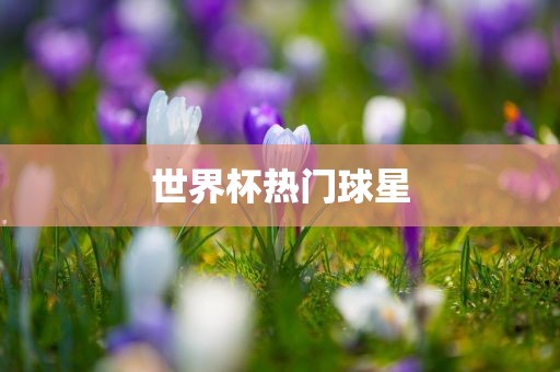 世界杯热门球星