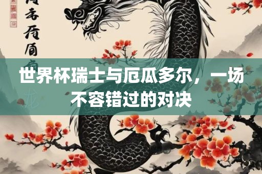 世界杯瑞士与厄瓜多尔，一场不容错过的对决