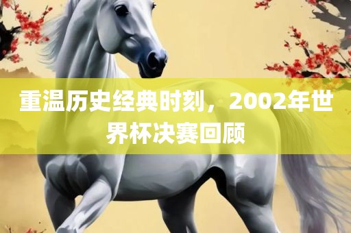 重温历史经典时刻，2002年吉安市靖泰电力工程有限公司世界杯决赛回顾