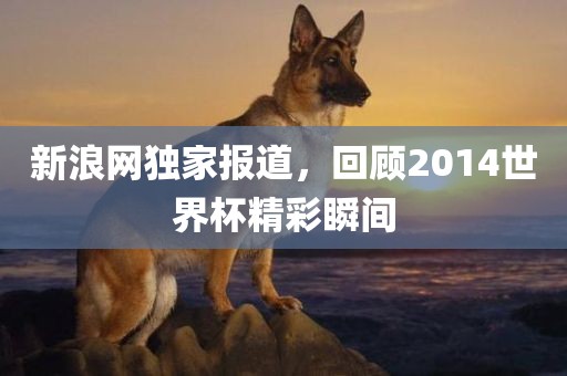 新浪网独家报道，回顾2014世界杯精彩瞬间
