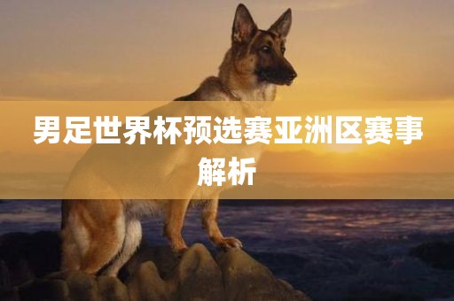 男足世界杯预选赛亚洲区赛事解析