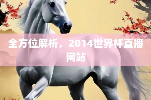 全方位解析，2014世界杯直播网站