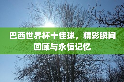 巴西世界杯十佳球，精彩瞬间回顾与永恒记忆