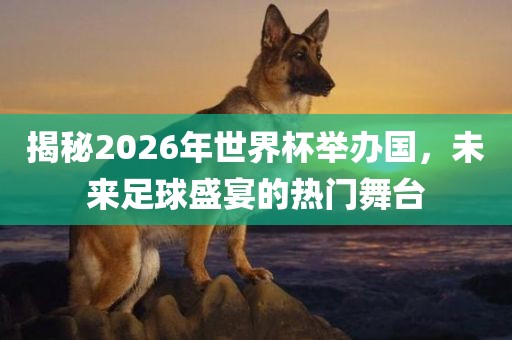 揭秘2026年世界杯举办国，未来足球盛宴的热门舞台