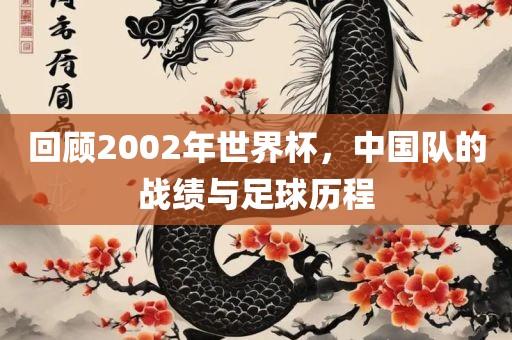 回顾2002年世界杯，中国队的战绩与足球历程