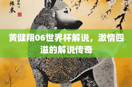 黄健翔06世界杯解说，激情四溢的解说传奇
