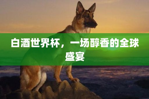 白酒世界杯，一场醇香的全球盛宴