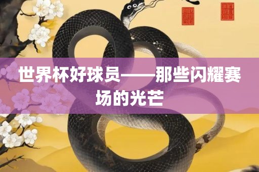 世界杯好球员——那些闪耀赛场的光芒