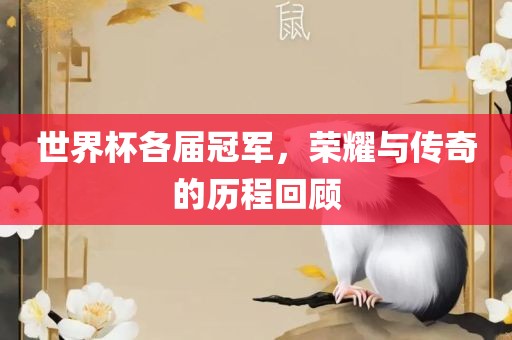 世界杯各届冠军，荣耀与传奇的历程回顾