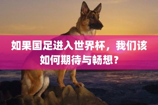 如果国足进入世界杯，我们该如何期待与畅想？