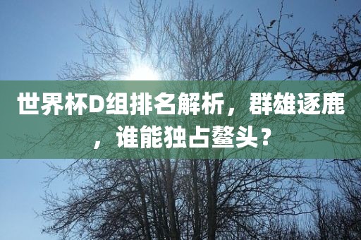 世界杯D组排名解析，群雄逐鹿，谁能独占鳌头？