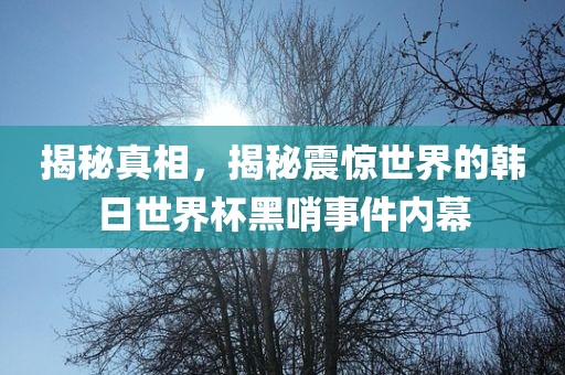 揭秘真相，揭秘震惊世界的韩日世界杯黑哨事件内幕