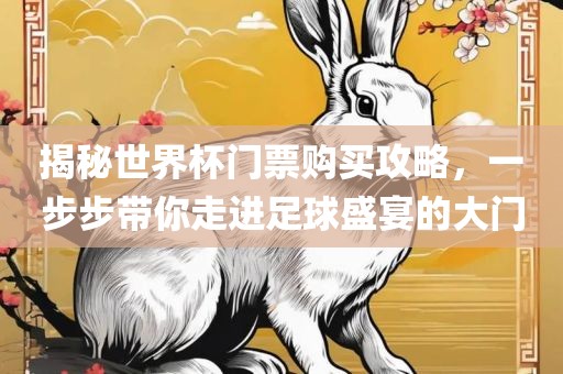 揭秘世界杯门票购买攻略，一步步带你走进足球盛宴的大门