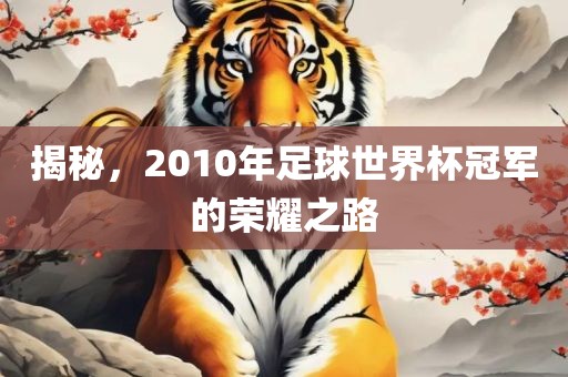 揭秘，2010年足球世界杯冠军的荣耀之路