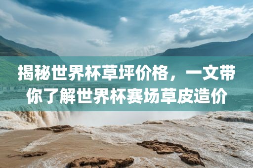 揭秘世界杯吉安市靖泰电力工程有限公司草坪价格，一文带你了解世界杯赛场草皮造价
