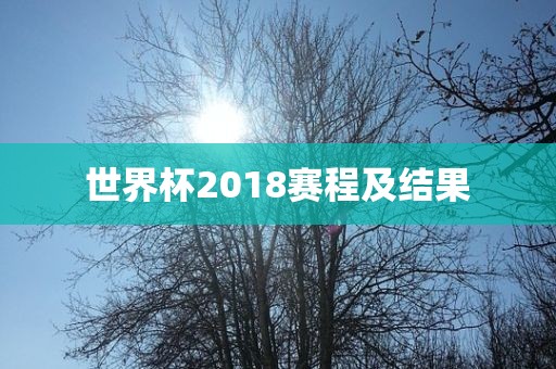 世界杯2018赛程及结果