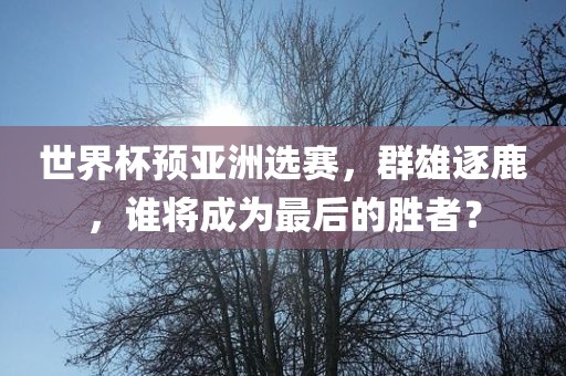 世界杯预亚洲选赛，群雄逐鹿，谁将成为最后的胜者？