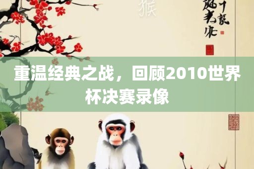 重温经典之战，回顾2010世界杯决赛录像