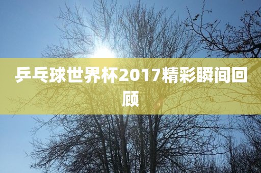 乒乓球世界杯2017精彩瞬间回顾