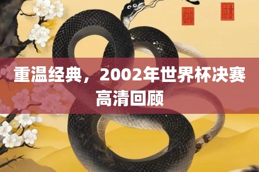 重温经典，2002年世界杯决赛高清回顾