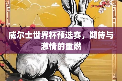 威尔士世界杯预选赛，期待与激情的重燃