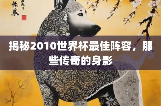 揭秘2010世界杯最佳阵容，那些传奇的身影