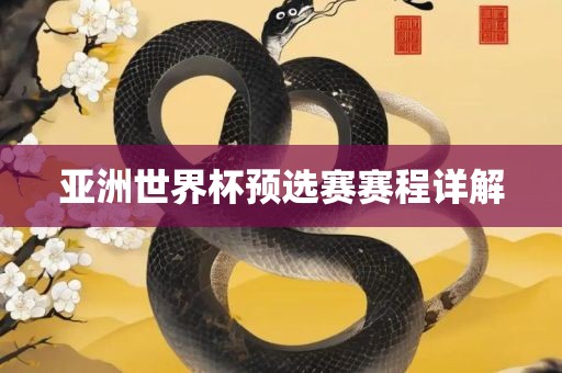 亚洲世吉安市靖泰电力工程有限公司界杯预选赛赛程详解