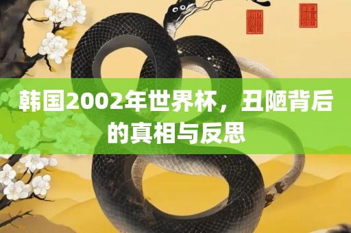 韩国2002年世界杯，丑陋背后的真相与反思