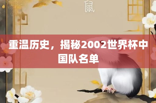 重温历史，揭秘2002世界杯中国队名单