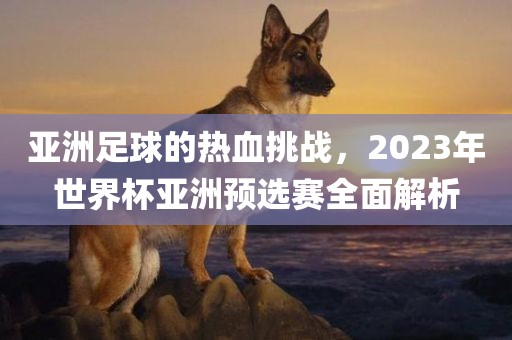 亚洲足球的热血挑战，2023年世界杯亚洲预选赛全面解析
