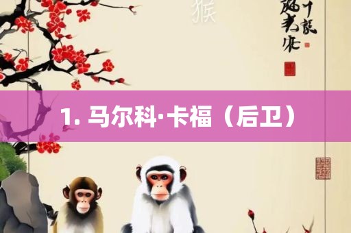 1. 马尔科·卡福（后卫）