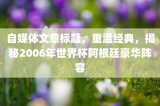 自媒体文章标题，重温经典，揭秘2006年世界杯阿根廷豪华阵容
