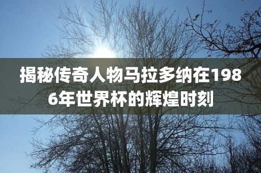 揭秘传奇人物马拉多纳在1986年世界杯的辉煌时刻
