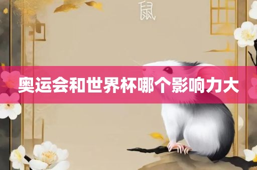 奥运会和世界杯哪个影响力大