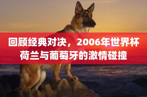 回顾经典对决，2006年世界杯荷兰与葡萄牙的激情碰撞
