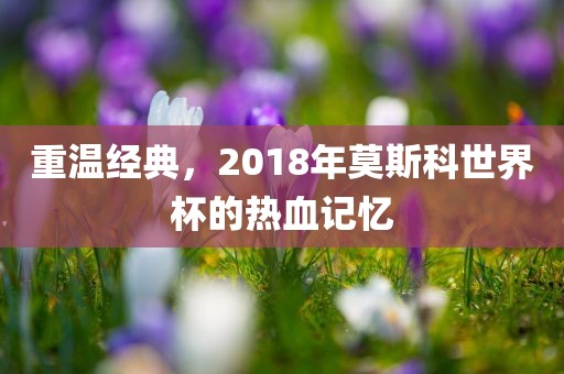 重温经典，2018年莫斯科世界杯的热血记忆