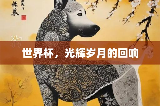 世界杯，光辉岁月的回响