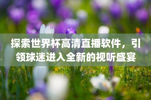 探索世界杯高清直播软件，引领球迷进入全新的视听盛宴