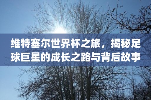 维特塞尔世界杯之旅，揭秘足球巨星的成长之路与背后故事