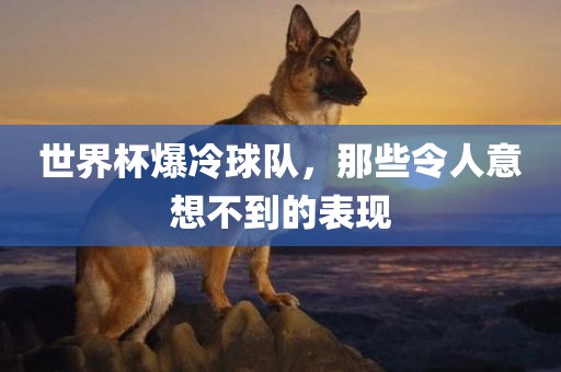 世界杯爆冷球队，那些令人意想不到的表现