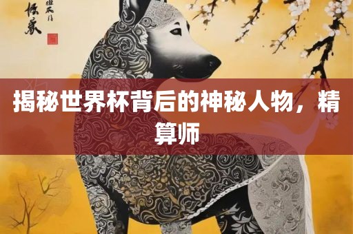 揭秘世界杯背后的神秘人物，精算师