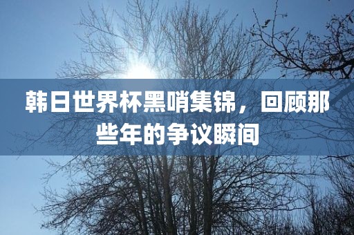 韩日世界杯黑哨集锦，回顾那些年的争议瞬间