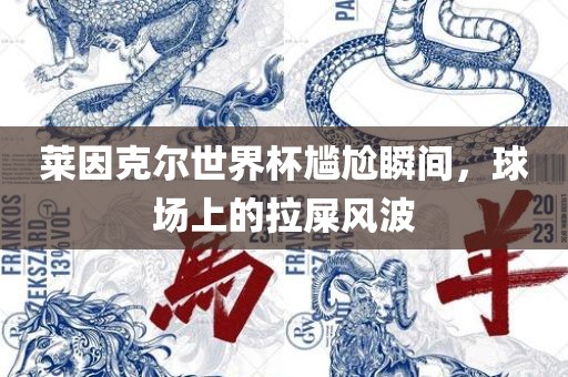 莱因克尔世界杯尴尬瞬间，球场上的拉屎风波