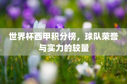 世界杯西甲积分榜，球队荣誉与实力的较量