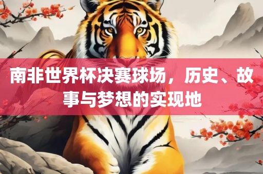 南非世界杯决赛球场，历史、故事与梦想的实现地