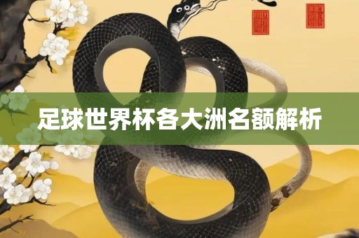 足球世界杯各大洲名额解析