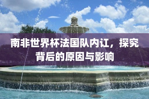 南非世界杯法国队内讧，探究背后的原因与影响