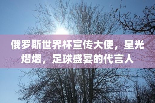 俄罗斯世界杯宣传大使，星光熠熠，足球盛宴的代言人