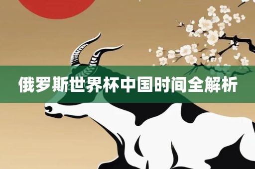 俄罗斯世界杯中国时间全解析