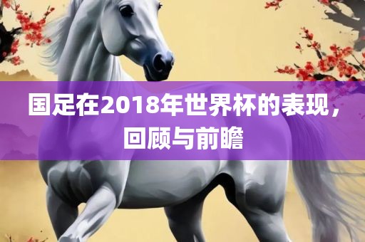 国足在2018年世界杯的表现，回顾与前瞻